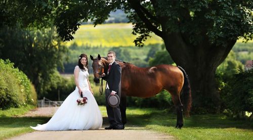 Brampton Grange and horse.jpg