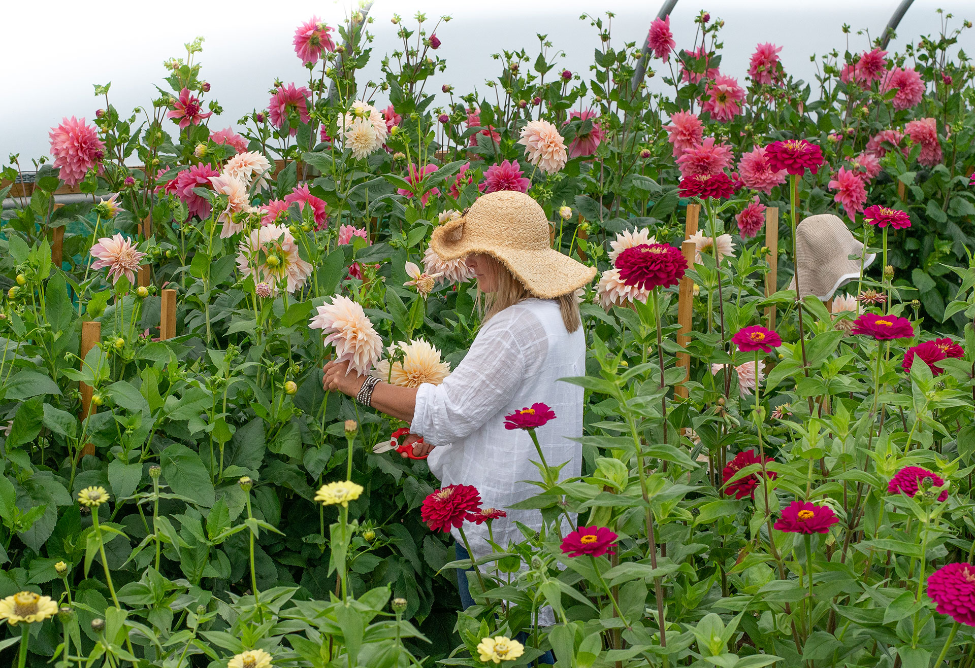 Flower and farmer Northamptonshire